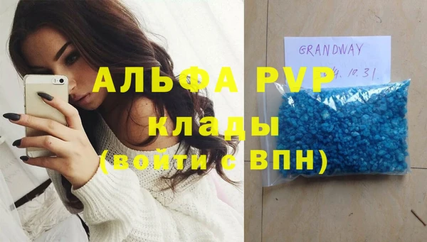 Альфа ПВП Верея