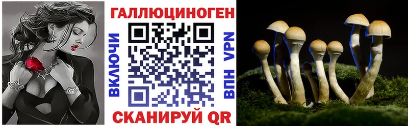 как найти закладки  Долгопрудный  Псилоцибиновые грибы мухоморы 